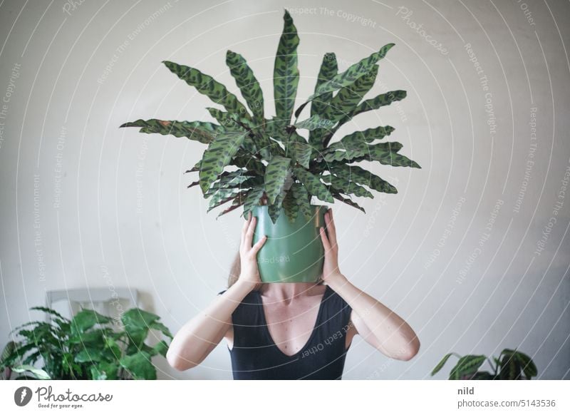 My very last favorite topic - July and her plants Houseplant Foliage plant Neutral background Pot plant Interior shot Decoration Living or residing Flowerpot