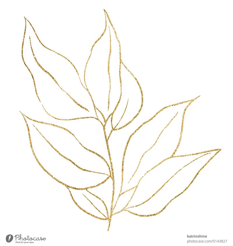 Golden outlines botanical sparkling leaves illustration, wedding design single element Botanical Decoration Element Foliage Garden Hand drawn Holiday Isolated