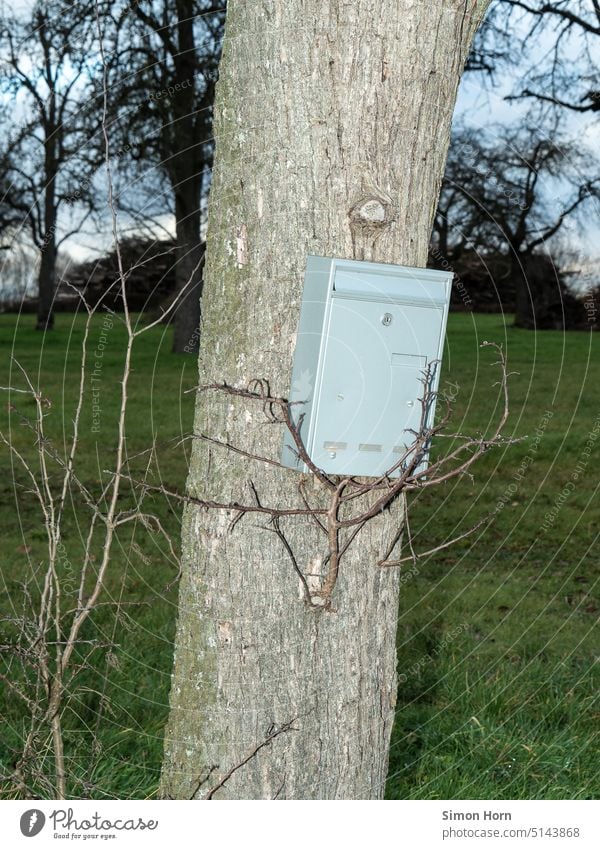 Mailbox on a tree Tree house shell company address Zip code Letter (Mail) Email Newspaper Nature fit Contact Write Transmit Envelope (Mail) Communicate