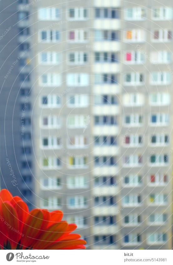 Parallel world... I ... Nature via concrete Line Abstract Structures and shapes Gray Wall (building) Wall (barrier) Facade Manmade structures