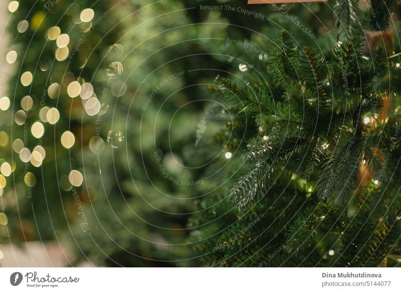 green faux spruce Christmas tree texture with light bokeh. Empty minimal green fir tree background abstract aged backdrop card christmas christmas tree december