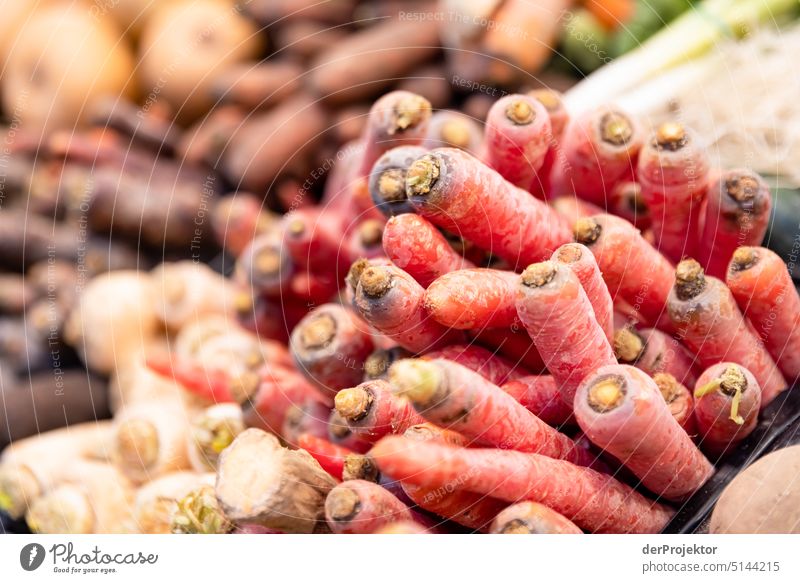 Organic vegetables on a stand II Green Growth Diet Detail Agriculture Healthy Eating Close-up naturally Garden Fresh Vegetable Vegetarian diet Plant Cabbage