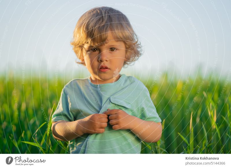 Portrait of curly kid standing in fresh green wheat field. Lovely toddler boy explores plants, nature in spring. Childhood, future, agriculture, ecology concept