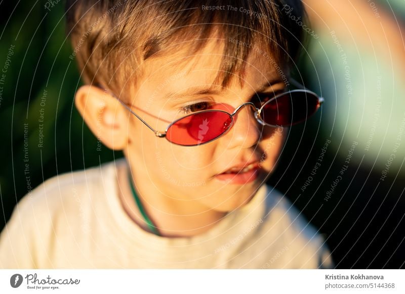 Portrait of funny baby boy in red sunglasses standing in fresh green wheat field. Lovely toddler child explores plants, nature in spring. Childhood, children fashion style concept