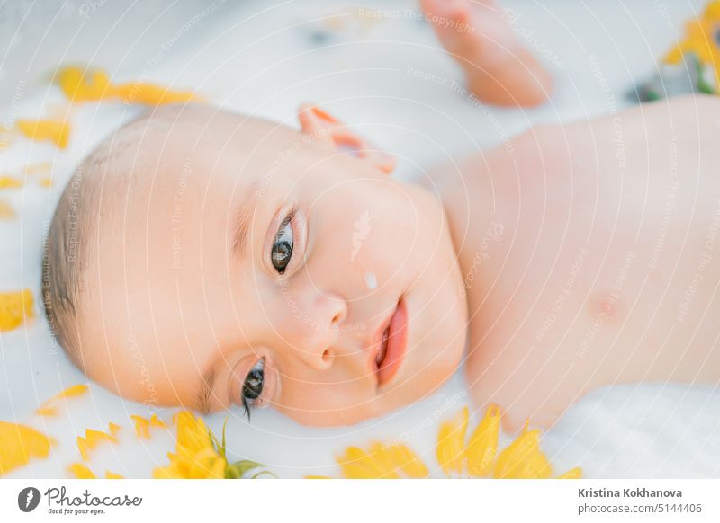 Cute little baby boy portrait in milk bath with sunflowers. Healthy lifestyle. child in summer garden, nature concept. clean bathtub childhood beauty caucasian