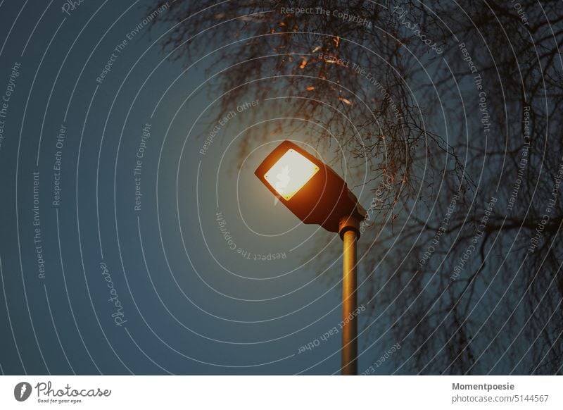 Where? Where? Light Lantern Street lighting Dark Town Lamp post Lighting Night Exterior shot Evening Sky Loneliness Deserted Electricity streetlamp blackout