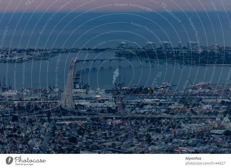 Evening in the city Aerial photograph Town Panorama (View) High-rise Bridge Architecture Exterior shot Skyline Downtown City Vantage point Colour photo Twilight