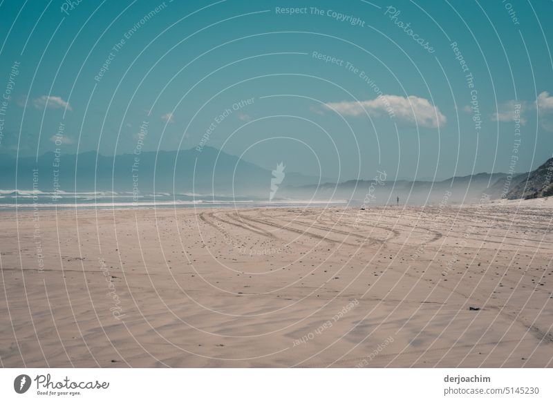 A beach runner is out on his own. Beach chair Sand Sky coast Summer Calm Landscape Summer vacation Beautiful weather Ocean Relaxation Exterior shot Colour photo