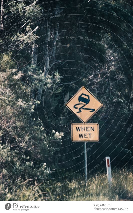 Road sign in yellow : WHEN WET Signage Signs and labeling Warning sign Characters Central perspective Copy Space bottom Wall (barrier) Day Exterior shot