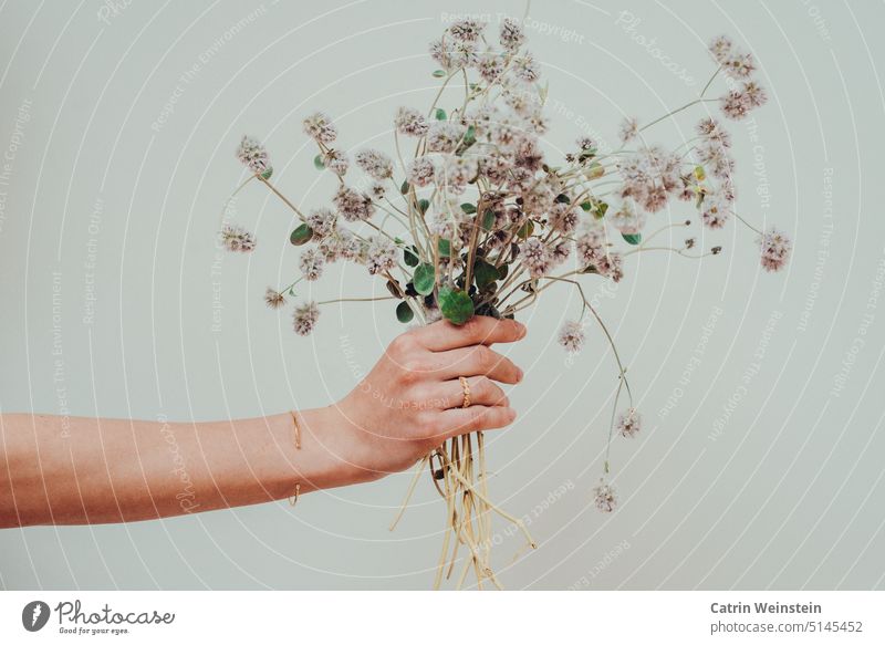 Female arm with a ring and a bracelet holds flowers in hand Flower purple Green Clover Bangle Bracelet Jewellery Ring Gold Bouquet