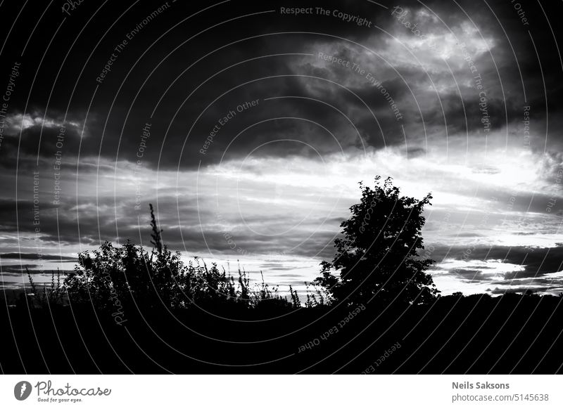 silhouette of forest under dark dramatic sky. Simple landscape. black and white simple landscape background shapes lines vignette structure harsh