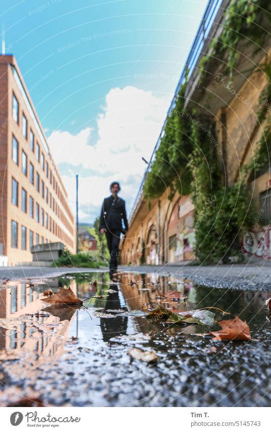 Between S Bahn and Charite Berlin Puddle Leaf Man Street Reflection Water Autumn Wet Asphalt reflection Exterior shot Sky Day Middle