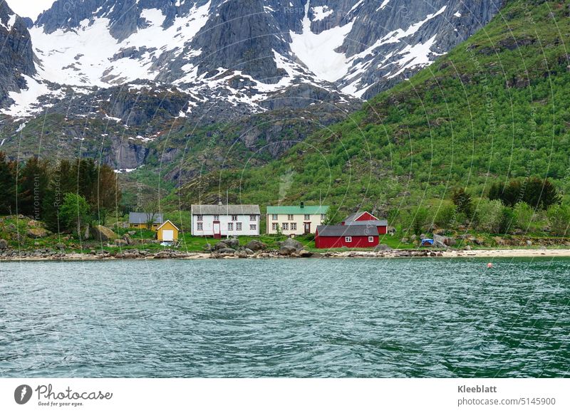 Norwegian idyll in a fjord seen from the water beer Snow Lonely Idyll idyllically red houses Norwegian houses Green Lichen hard life cut off from roads