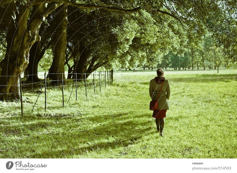 stroll Human being Feminine Young woman Youth (Young adults) Woman Adults 1 Environment Nature Landscape Tree Park Meadow Forest Beautiful To go for a walk