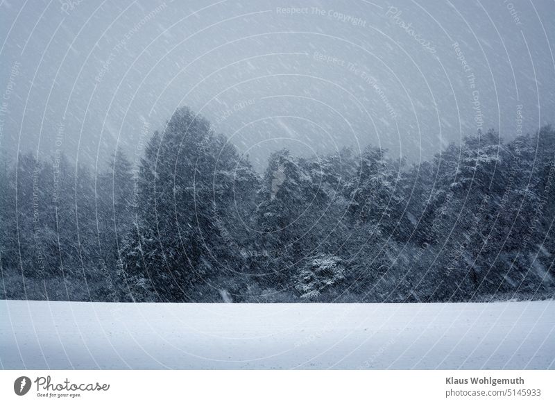 Wind and heavy snowfall push down the treetops, low-hanging clouds and the sparse daylight create a threatening mood. The field in the foreground is covered with snow.