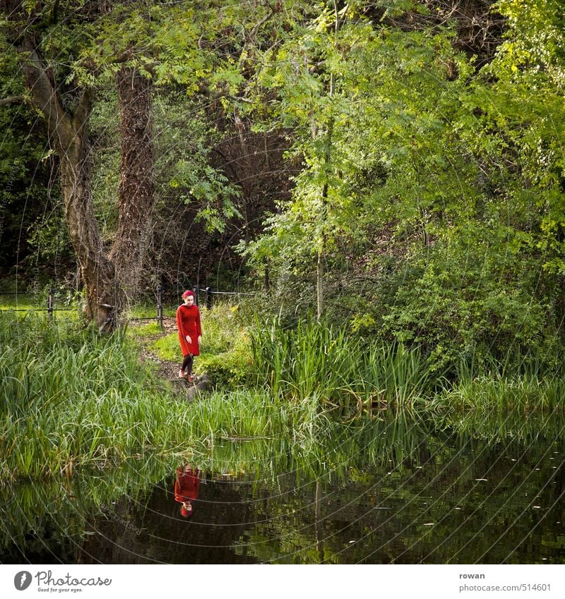 At the lake Human being Feminine Young woman Youth (Young adults) Woman Adults Environment Nature Landscape Lakeside Calm Loneliness Dress Red Reflection Tree