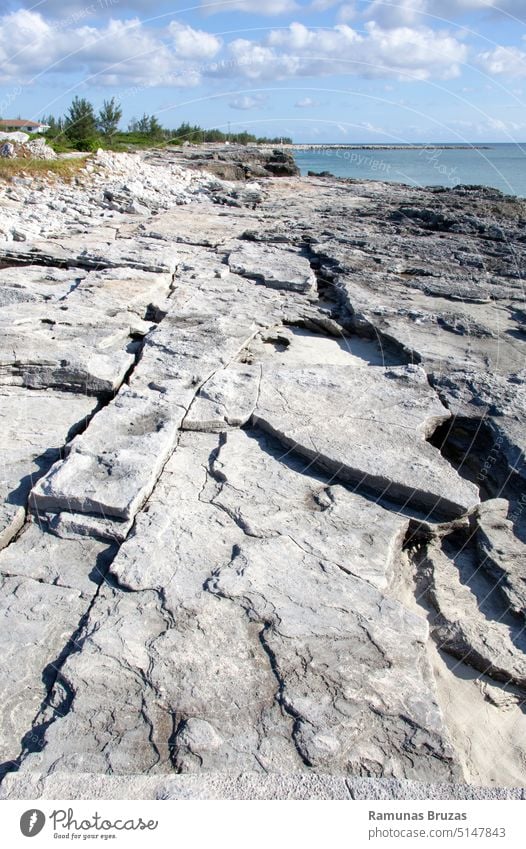 Grand Bahama Island Eroded Rocky Coastline view nature tropical eroded geologic rock landscape shore beach coast coastline outdoor travel hiking island vacation