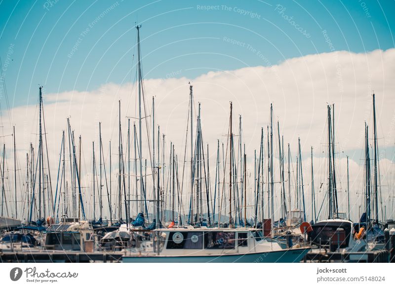 Ship masts in sunny bright weather Geelong Australia Victoria Sailboat ship's mast Sky Clouds Harbour Sailing ship Pole sailboats Watercraft marina unrigged