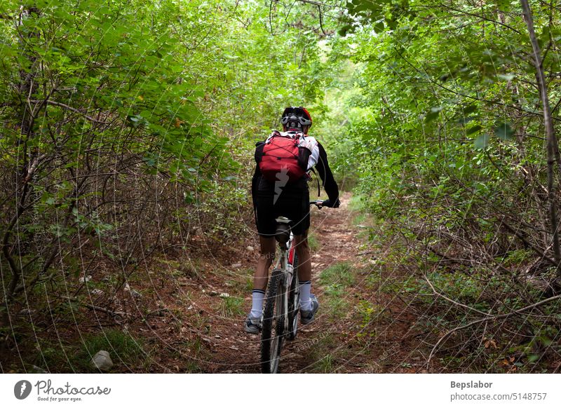 Mountain biker riding cycling in the autumn forest sport man ride cycle person trail bicycle biking adventure action competition fitness rider track active