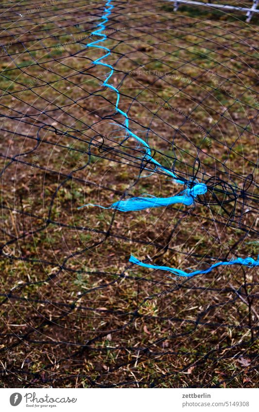 Mesh from above Berlin domain dahlem Worm's-eye view Sky Kiez Agriculture Life Skyline Town city district street photography City trip Scene scenery Tourism