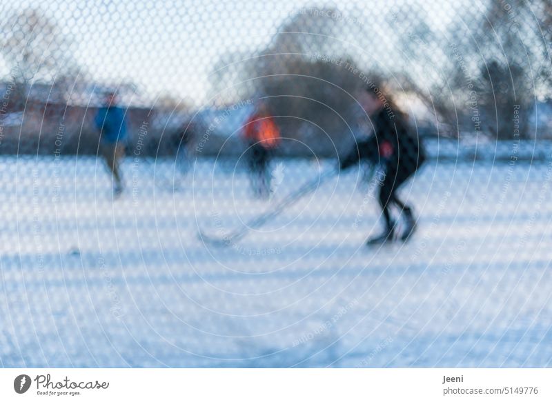 Young people in action in winter Village youthful Ice-skating puk ice hockey stick Moody Snow Youth (Young adults) Movement game fun Winter sports Ice hockey