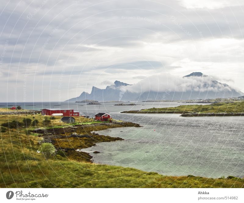 fish factory Relaxation Calm Vacation & Travel Tourism Trip Freedom Nature Landscape Mountain Coast Bay Fjord Populated House (Residential Structure) Modest