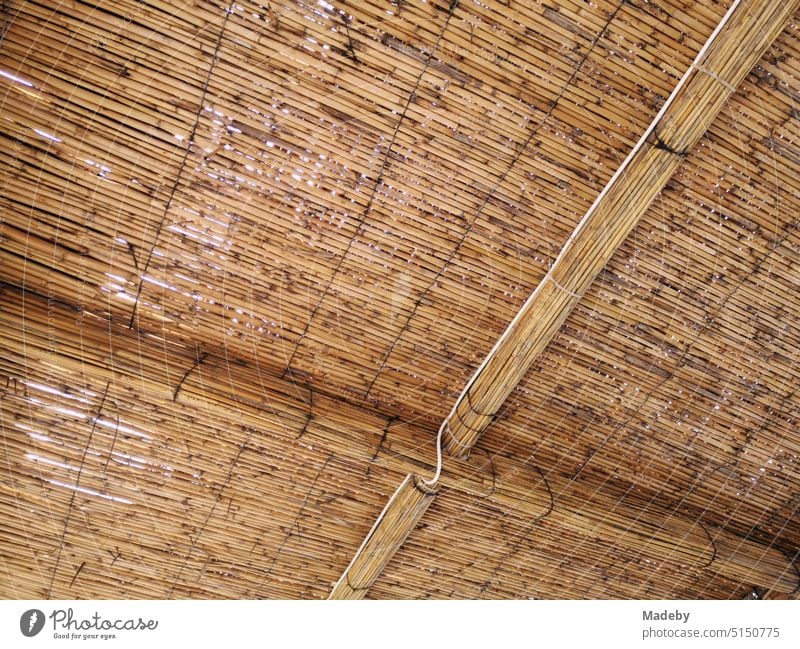 Roof of bast mats and wicker in beige and natural colors in summer on the beach of Ayvalik in the province of Balikesir on the Aegean Sea in Turkey basketwork