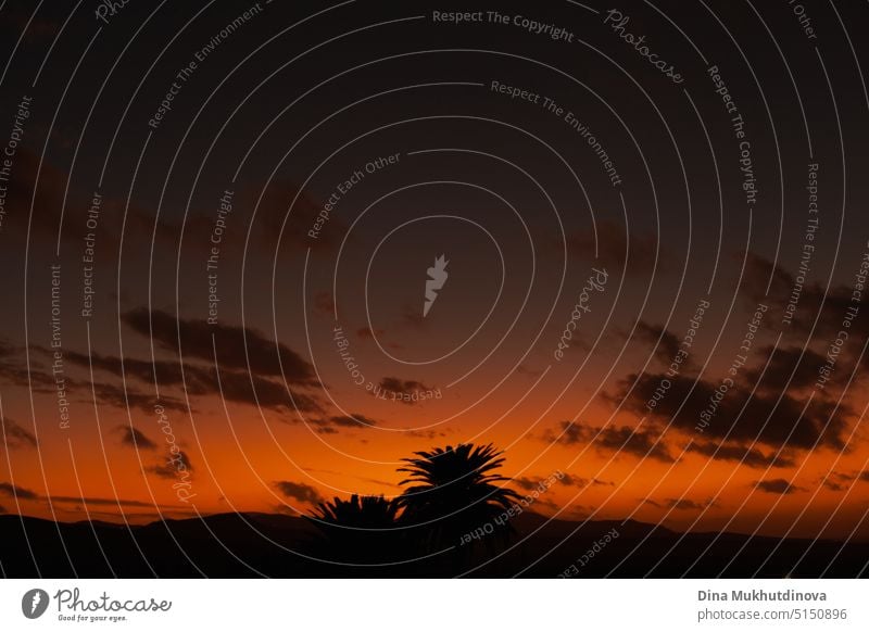 Beautiful colorful red dramatic orange sunset or sunrise over the mountains and palm tree silhouette. Sky with clouds lit by sun natural background. tropical