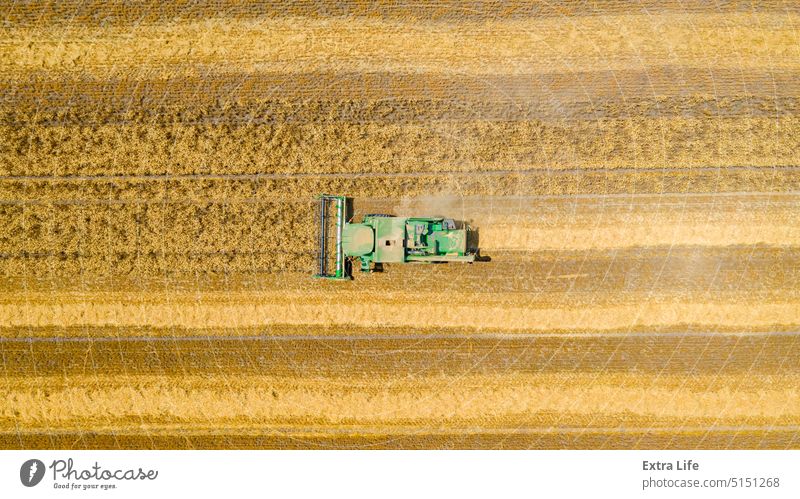 Above view on combine, harvester machine, harvest ripe cereal Aerial Agricultural Agriculture Cereal Combine Country Countryside Crop Cultivated Cultivation Cut