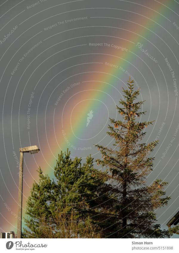 Rainbow behind street light and trees streetlamp Light Mood lighting Optimism optimistic Positive variegated variety Freedom Hope Equality Tolerant