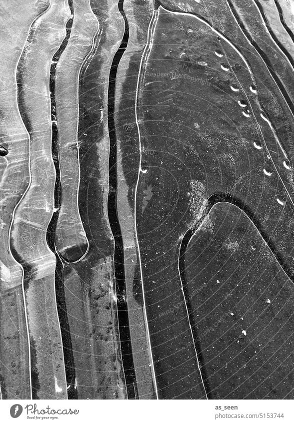 black ice Ice Frost Frozen Puddle ice floes Winter Cold Deserted Exterior shot Water Environment Abstract Structures and shapes Black & white photo Bizarre