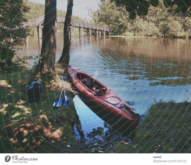 canoe trip Mecklenburg Lake District Channel bank Water Peaceful silent Sunlight Canoe Idyll snug Calm Flow Trip Landscape Environment Nature Exterior shot