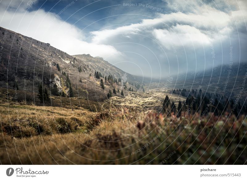 homeland Nature Landscape Storm clouds Autumn Climate Fog Mountain Dark Brown Adventure Austria Colour photo Exterior shot Deserted Day Blur Panorama (View)