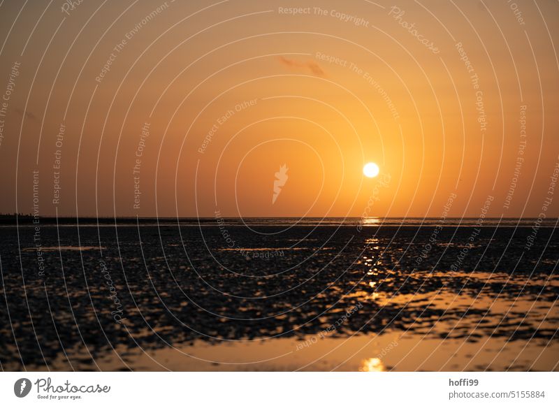 Sunset in the Wadden Sea sunset mood Ocean Sunset sky Sunset light Dusk Sunlight evening mood Sunset Landscape Twilight Moody Horizon seascape Silhouette Beach