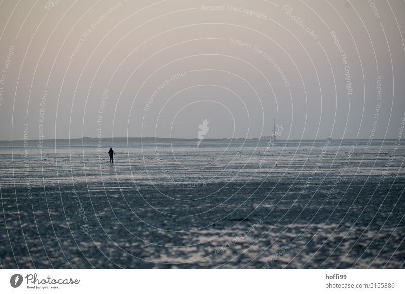 a lonely man walks in the mudflats at dusk towards Wangerooge mudflat hiking tour North Sea Islands Relaxation Sky Far-off places Dusk evening mood Twilight