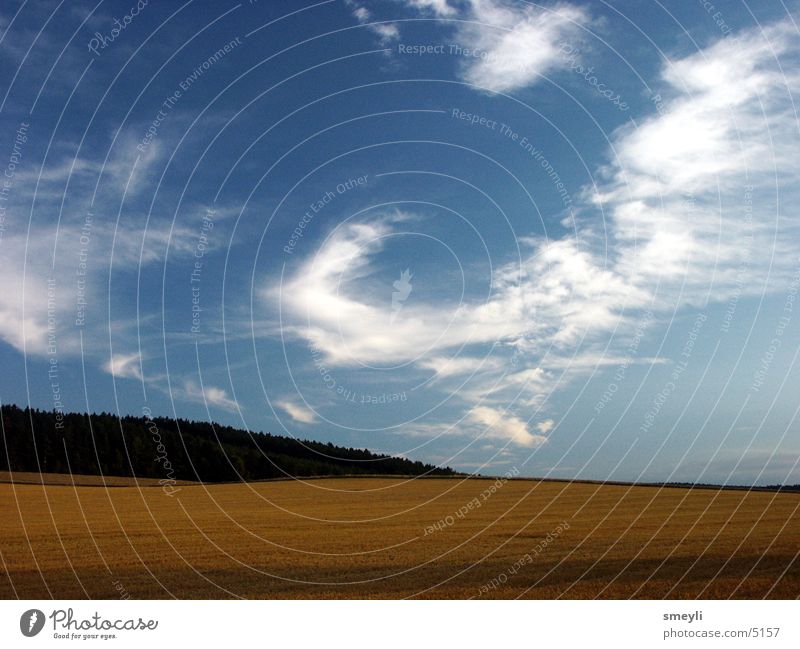 harvest time Forest Field Stubble field Clouds Meadow Grass Nature Sky Harvest Sun Grain cyrr chirr windows