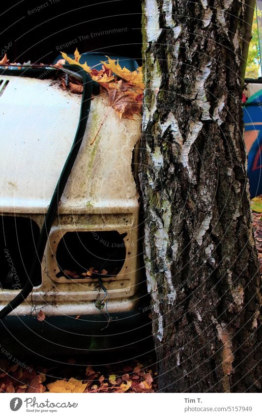 Old car hit tree Tree Autumn Scrap metal Accident Broken Vehicle Car Traffic accident Exterior shot Deserted Colour photo Total loss Damage Bodywork damage