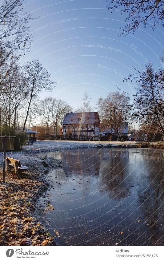 House by the lake | Orange tree leaves are out today House (Residential Structure) half-timbered Lake Pond fire pond Winter Snow Ice Frozen Bench Pavilion Idyll