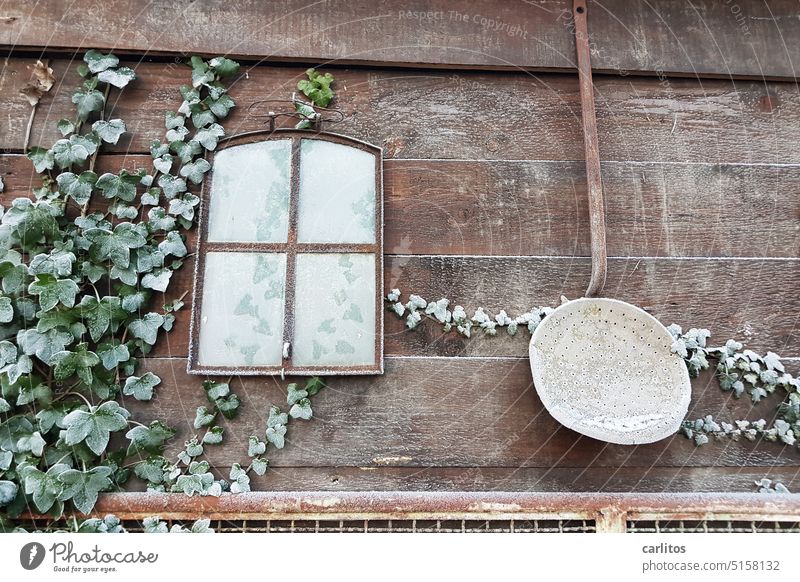 There hangs the fox dead over the fence | Rural still life Barn Wall (building) board wall Window ladle Spoon Fence Ivy Brown Frost Ice Still Life Decoration