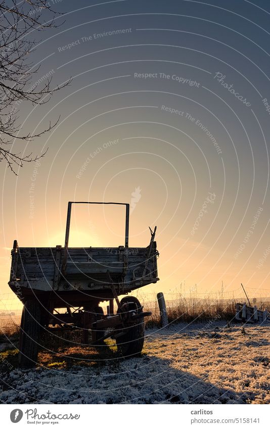 You are so affectionate | a lonely trailer in the winter sun Trailer Agriculture Back-light Sun Winter Meadow Ice Mature Field Landscape Nature Sky Environment