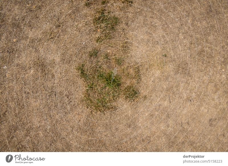 Parched meadow due to climate change I Sunlight Heat shock heat wave Damage climate killer Infertile Desert dry up climate crisis Climate Catastrophe