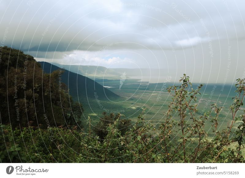 View from crater rim into Ngorongoro crater, wide view with clouds, bushes in foreground Looking Clouds Sky Green Landscape Safari Tansania Nature Africa