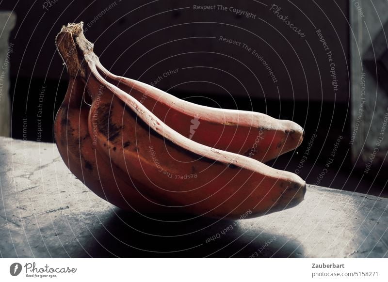 Still life with three red bananas backlit on gray table top Banana Red Still Life Back-light Table Food salubriously Warped Study or Survey Fruit Nutrition