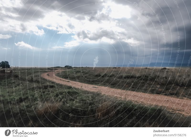 Slope with curve in savannah, above sky, clouds and sun rays Ski piste off Curve Clouds Sun Sunbeam Sky spectacular Landscape Serengeti Tansania National Park