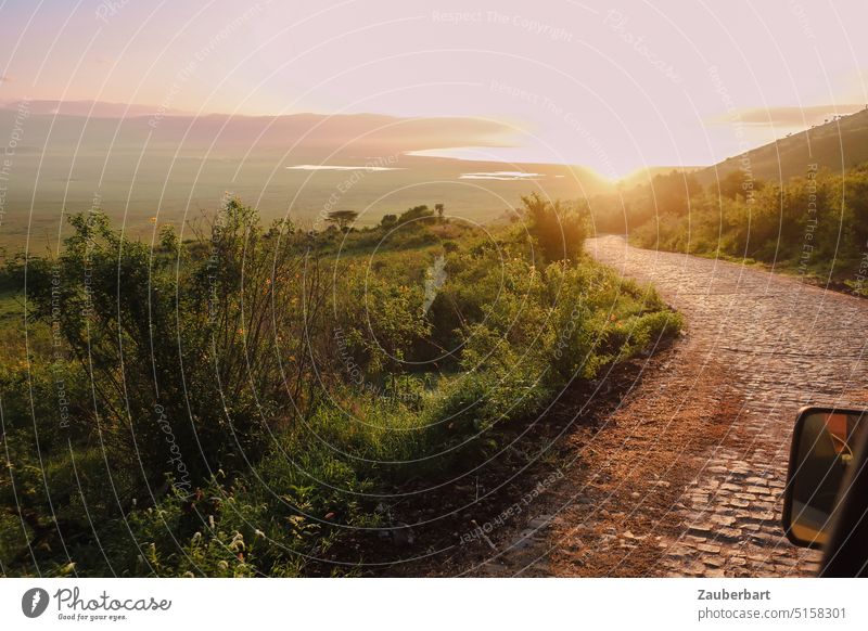 Road with cobblestones in sunrise with view of Ngorongoro Crater Street off Sun Sunshine Sunrise Back-light Cobblestones bushes Green golden Tansania Africa