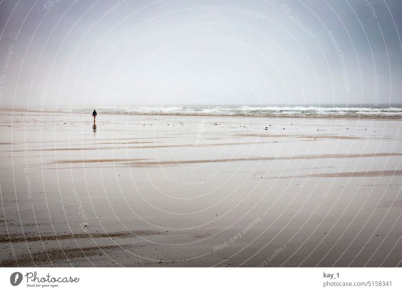 Beach with person in the distance during stormy weather Sand Mud flats watt North Sea Atlantic Ocean Atlantic coast Walk on the beach Human being Loneliness