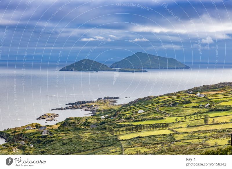 Irish coastal landscape with islands on horizon coastline coastal strip Ireland Island Islands Willow tree Pastureland pasture landscape Water Atlantic Ocean