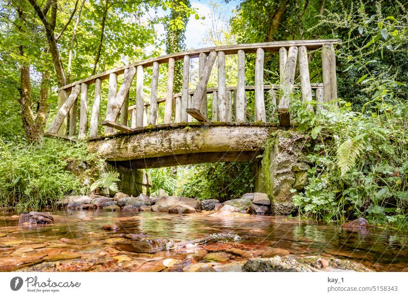 small wooden bridge over brook Bridge Wood Wooden bridge Green Brook River Nature stones Water Landscape Exterior shot Deserted Forest Calm Mountain Flow Idyll