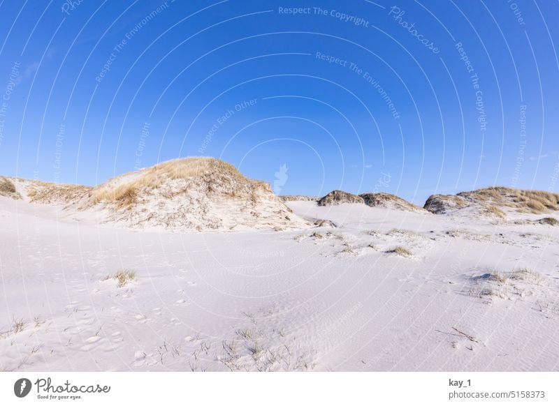 Dune landscape with white sand under blue sky Marram grass duene Beach Nature Sand Landscape North Sea Sky coast Relaxation dunes Blue White Sandy beach