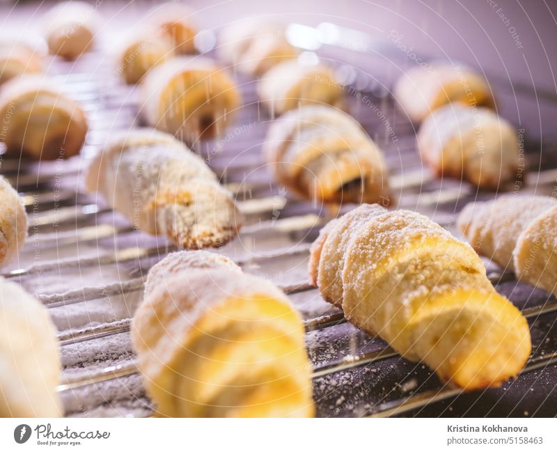 Freshly baked ukrainian cookies with powdered sugar pouring over from sifter. board buns cooking food hand homemade vintage background bakery biscuit bread